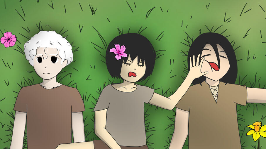 At the flower fields, Flowterra
